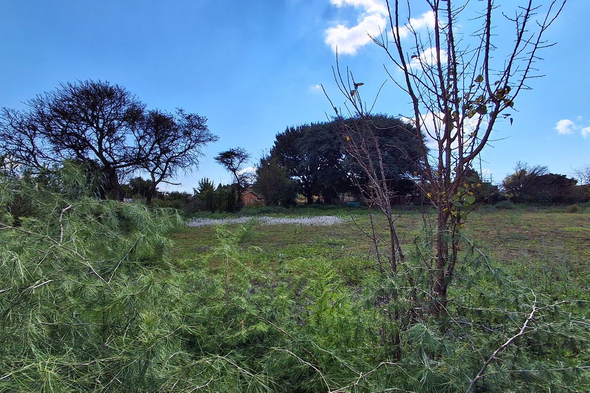 A view of a vacant residential plot featuring mature trees and open land, offering potential for future development.
