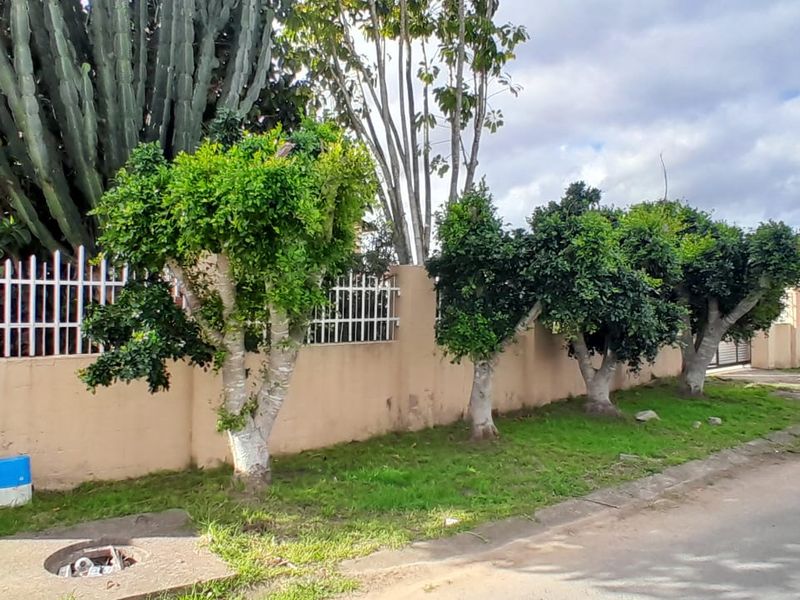 Elegant Family Home in a Prime Location - Photo 4