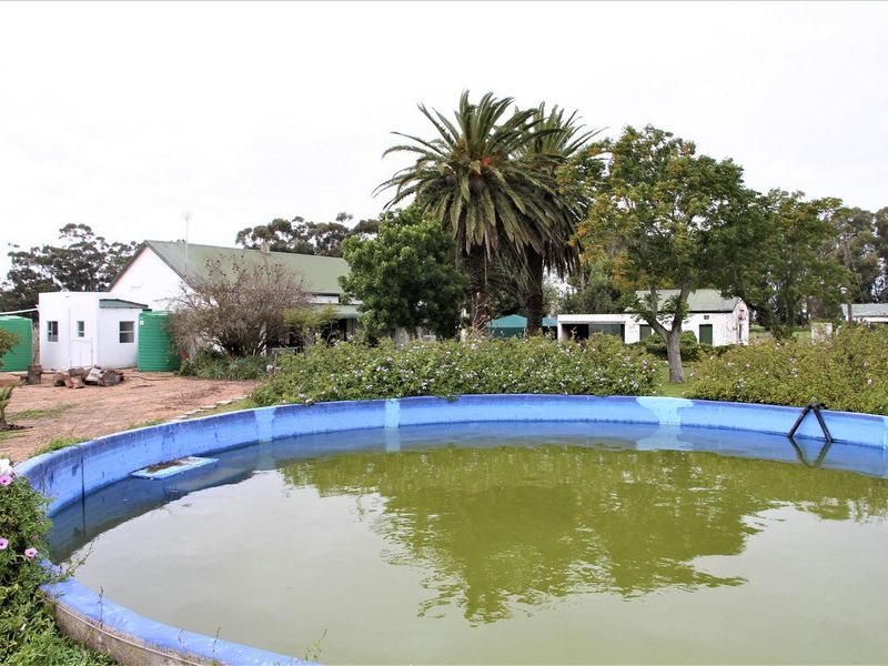 Spanjaard Farm – Prime Agricultural Property on the West Coast - Photo 8