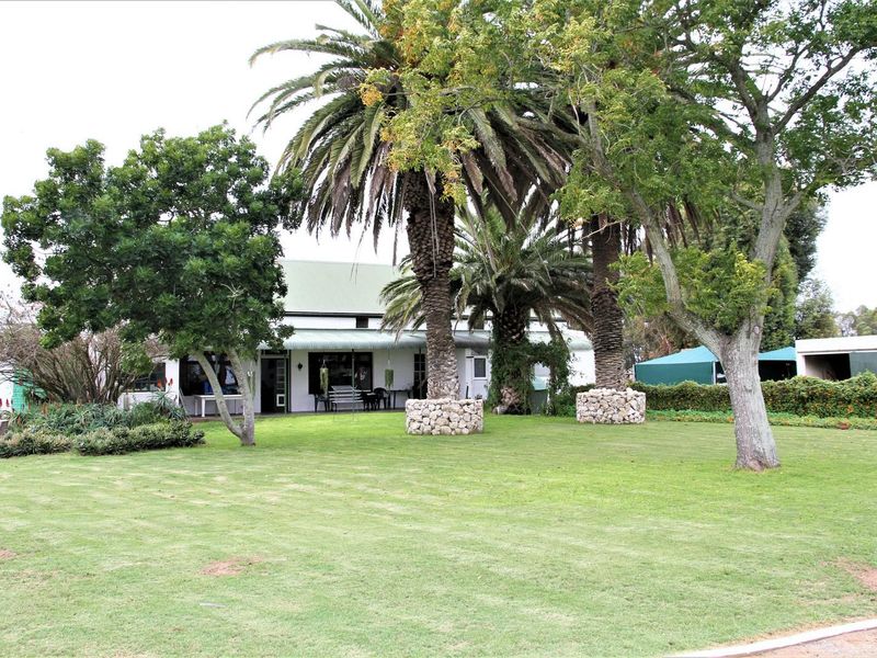 Spanjaard Farm – Prime Agricultural Property on the West Coast - Photo 4