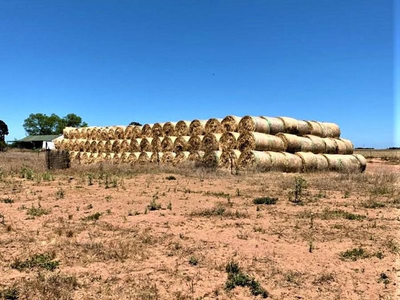 Spanjaard Farm – Prime Agricultural Property on the West Coast - Photo 3