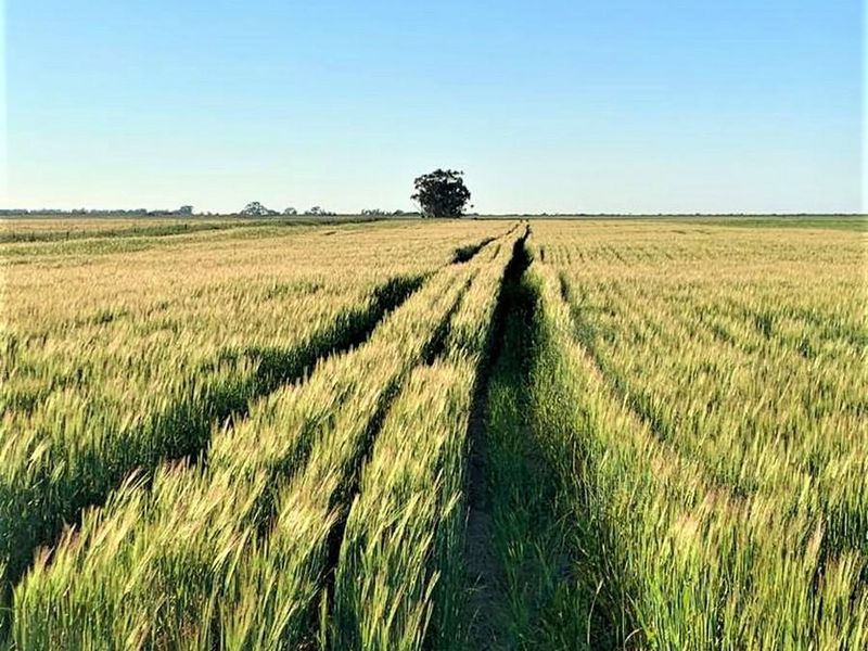 Spanjaard Farm – Prime Agricultural Property on the West Coast - Photo 2