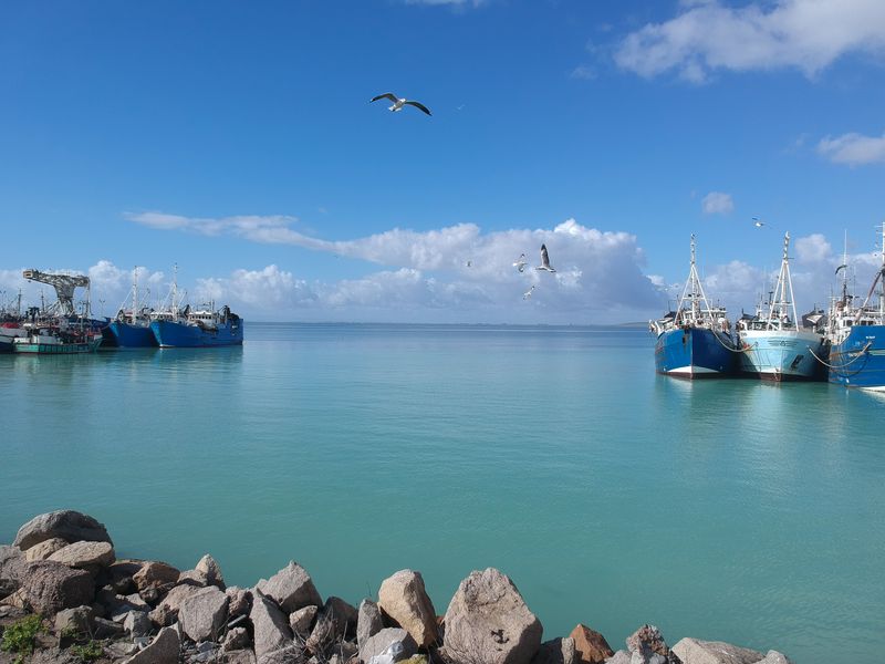 Vacant land for Sale in Stenberg Cove, St Helena bay - Photo 8