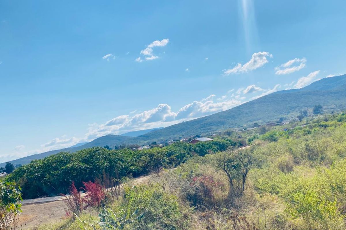 Prime Vacant Stand for Sale – South of Pretorius, Louis Trichardt - Photo 4