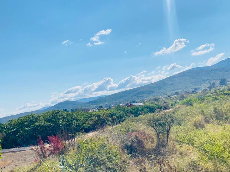 Prime Vacant Stand for Sale – South of Pretorius, Louis Trichardt - Photo 4