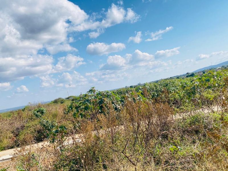 Prime Vacant Stand for Sale – South of Pretorius, Louis Trichardt - Photo 9