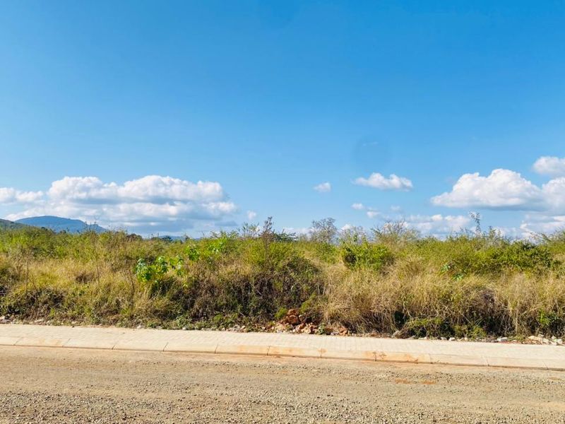 Prime Vacant Stand for Sale – South of Pretorius, Louis Trichardt - Photo 6