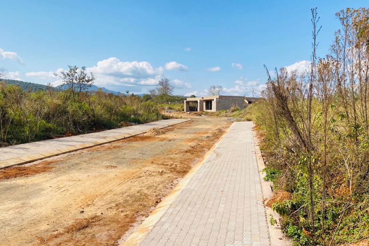 Prime Vacant Stand for Sale – South of Pretorius, Louis Trichardt - Photo 3