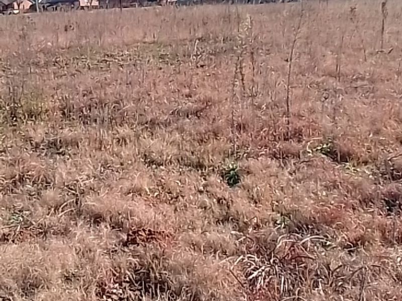 A view of a vacant residential plot featuring dry grass and surrounding neighborhood landscape.