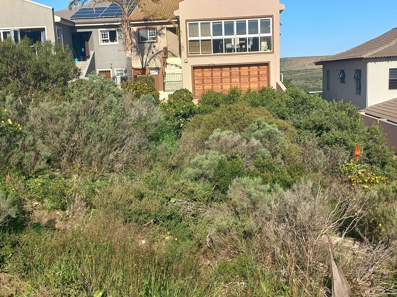 A sloped residential vacant land plot covered in native vegetation, situated behind existing neighboring properties.