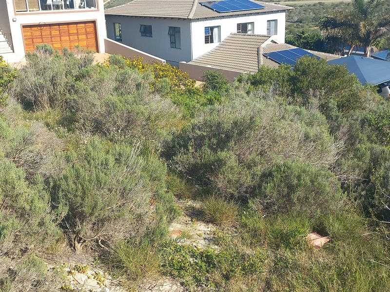 A view of a sloped, undeveloped residential plot covered in native vegetation, situated adjacent to existing residential properties.