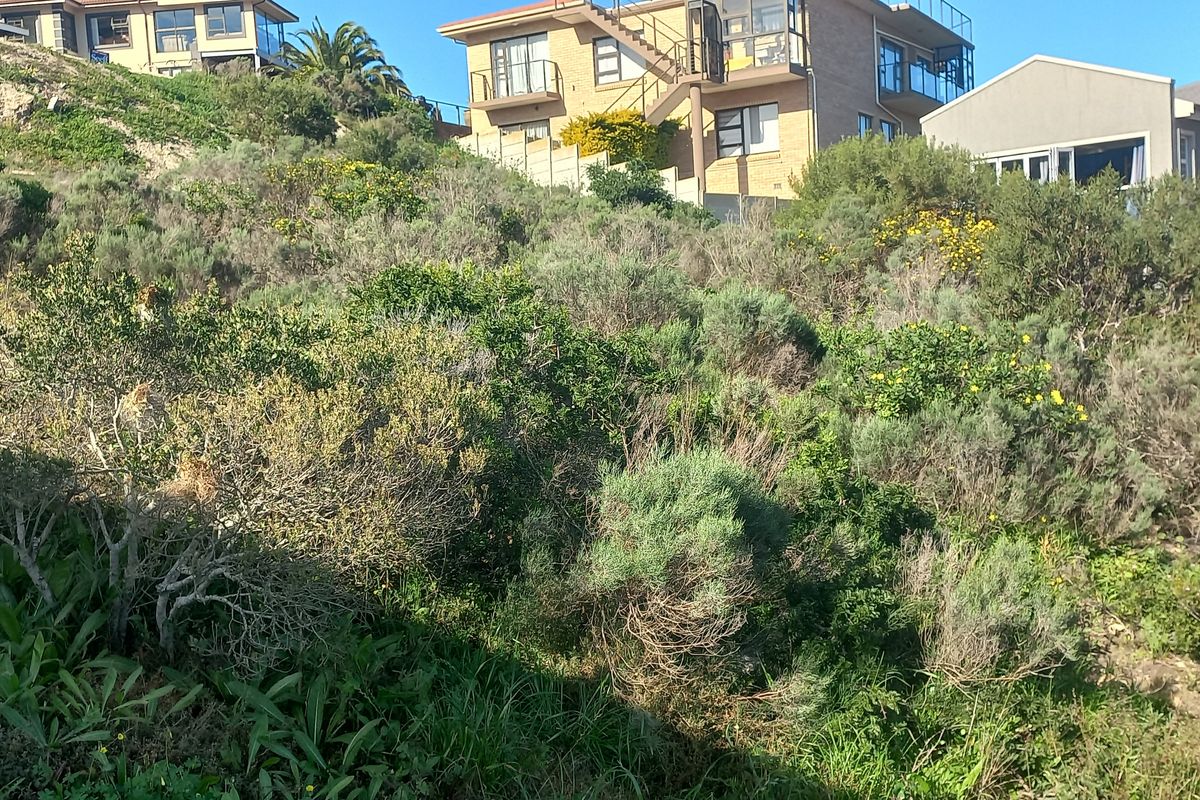 A view of a sloped, undeveloped residential plot featuring natural vegetation and surrounding hillside properties.