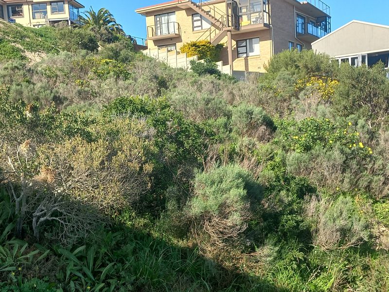 A view of a sloped, undeveloped residential plot featuring natural vegetation and surrounding hillside properties.