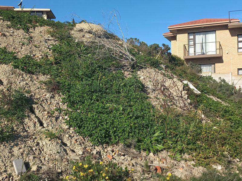 A view of a sloped, undeveloped residential plot showing signs of soil erosion and natural vegetation, adjacent to existing residential properties.