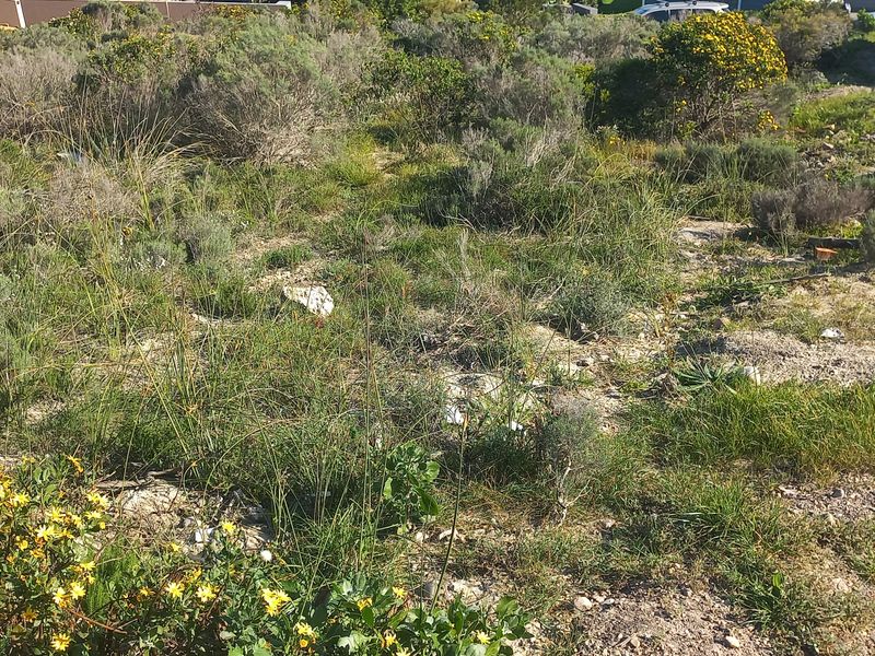 A view of a vacant residential plot featuring natural vegetation and uneven terrain.