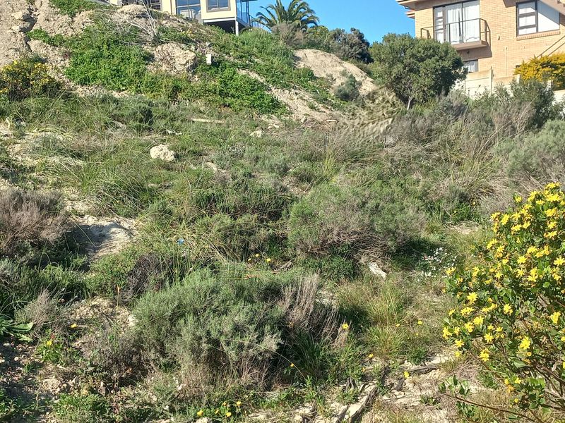 A view of a sloped, undeveloped residential plot featuring natural vegetation and surrounding established properties.