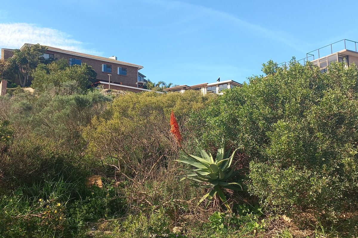 A view of a sloped, undeveloped residential plot featuring native vegetation and a retaining wall, with neighboring properties visible in the background.