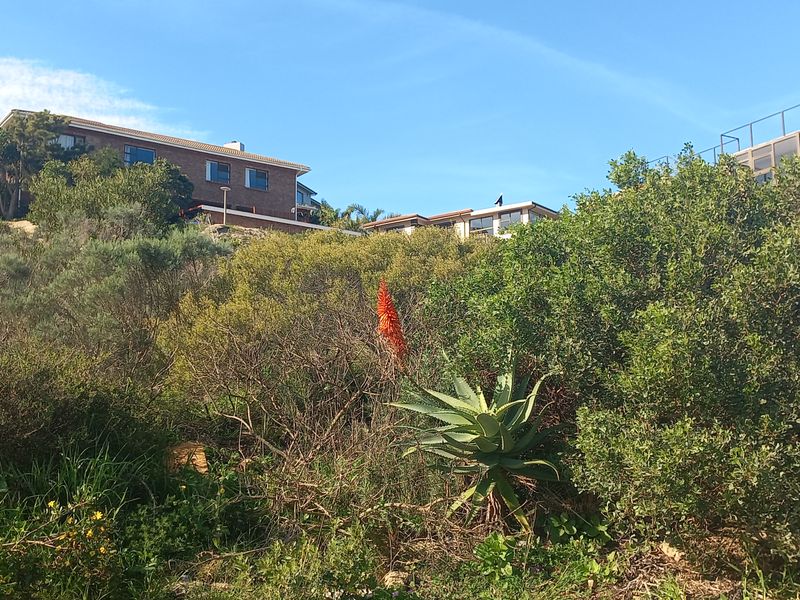 A view of a sloped, undeveloped residential plot featuring native vegetation and a retaining wall, with neighboring properties visible in the background.