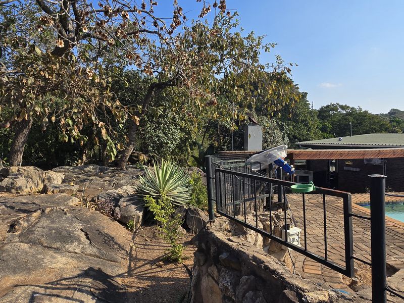 Outdoor area featuring natural rock landscaping, a paved patio section, and a swimming pool enclosed by metal safety fencing.
