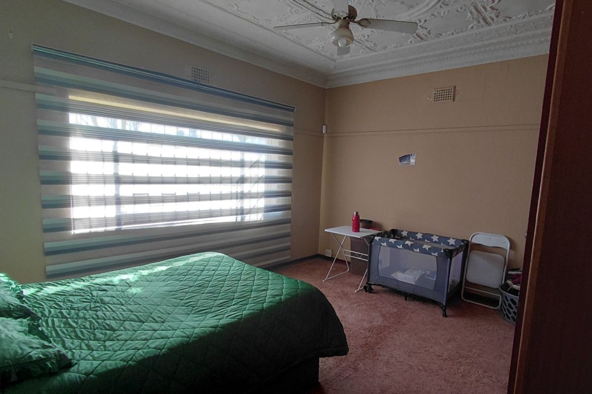 A spacious bedroom featuring a decorative ceiling rose, ceiling fan, and large window with fitted blinds, finished with carpeted flooring.