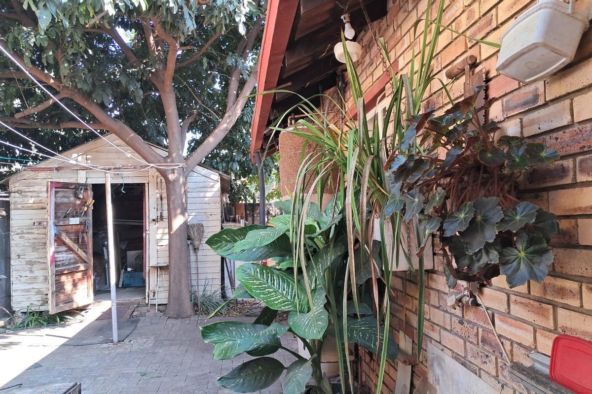 Rear exterior view featuring a paved patio area, brick wall facade, and a detached wooden storage shed under mature trees.
