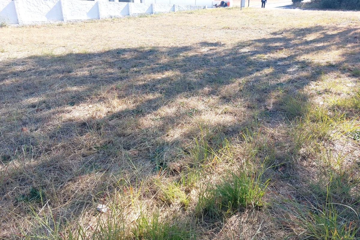 Vacant Land Residential For Sale In Hartbeespoort - Photo 4