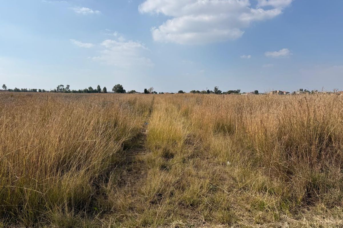 Prime Development Land for Sale - Photo 4