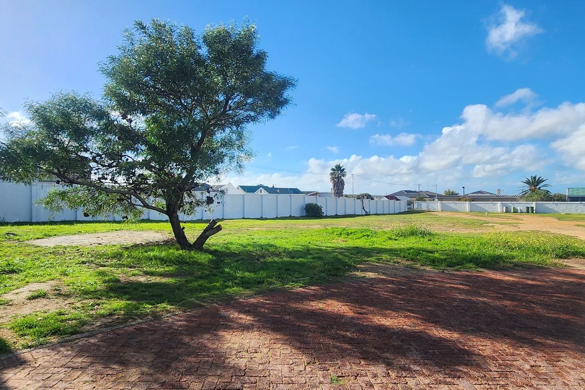 A spacious vacant residential plot featuring a paved driveway area, established trees, and a secure perimeter wall boundary.