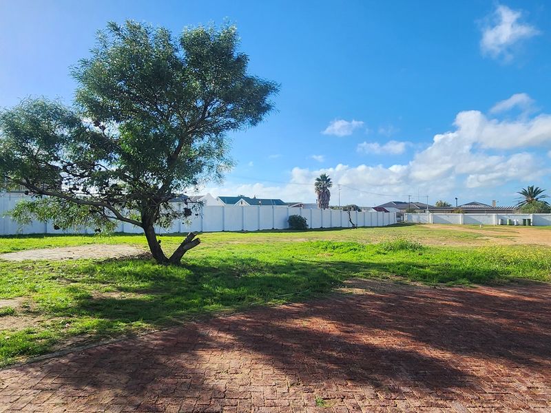 A spacious vacant residential plot featuring a paved driveway area, established trees, and a secure perimeter wall boundary.