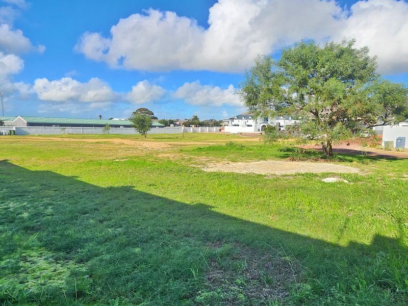 A spacious, level residential vacant plot featuring established grass and a mature tree, enclosed by boundary walls in a quiet neighborhood setting.