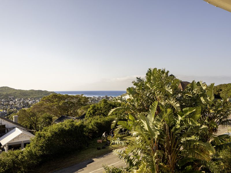 Elevated coastal view overlooking the surrounding neighborhood, lush greenery, and the distant ocean horizon.