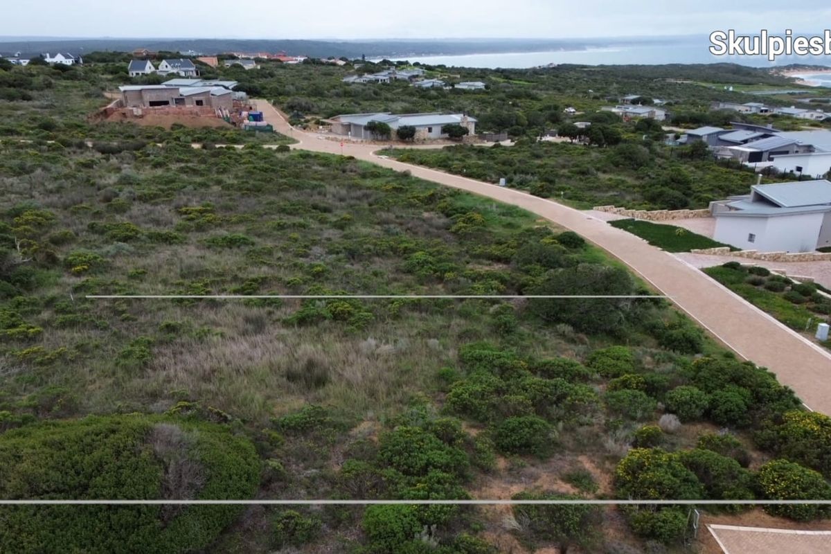 Build Your Dream Coastal Retreat in the Heart of Skulpiesbaai Nature Reserve - Photo 3