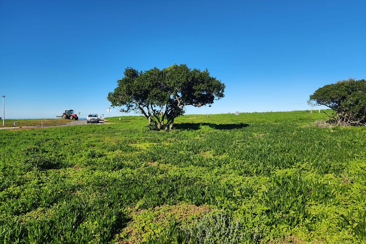 Space, Security, and Natural Beauty - Photo 2