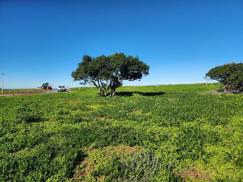 Space, Security, and Natural Beauty - Photo 2