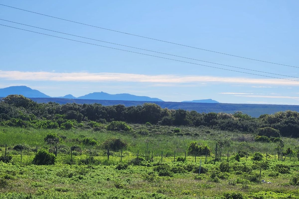Space, Security, and Natural Beauty - Photo 5