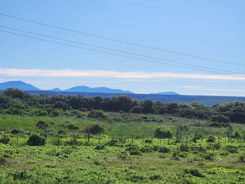 Space, Security, and Natural Beauty - Photo 5