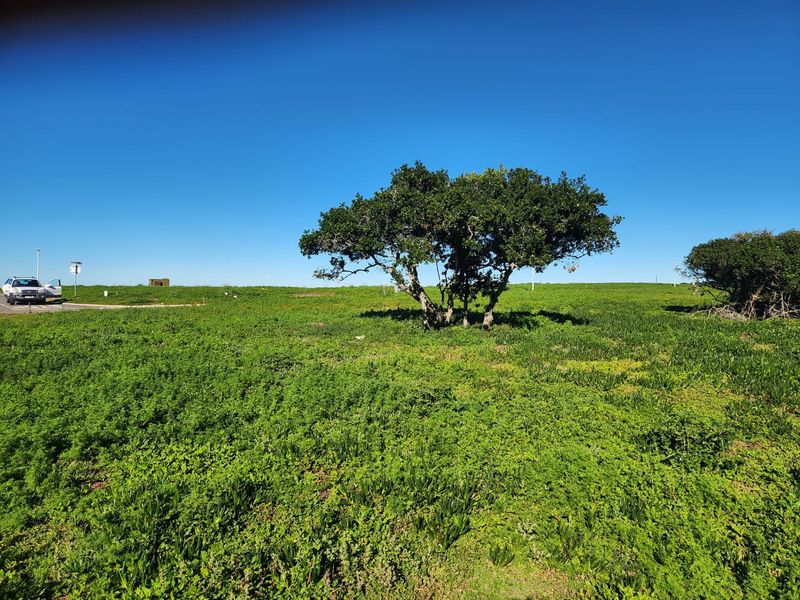 Space, Security, and Natural Beauty - Photo 10