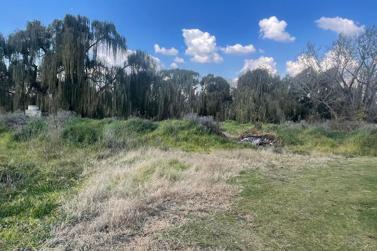 A view of a vacant residential plot featuring natural grass, mature willow trees, and open space, suitable for future development.