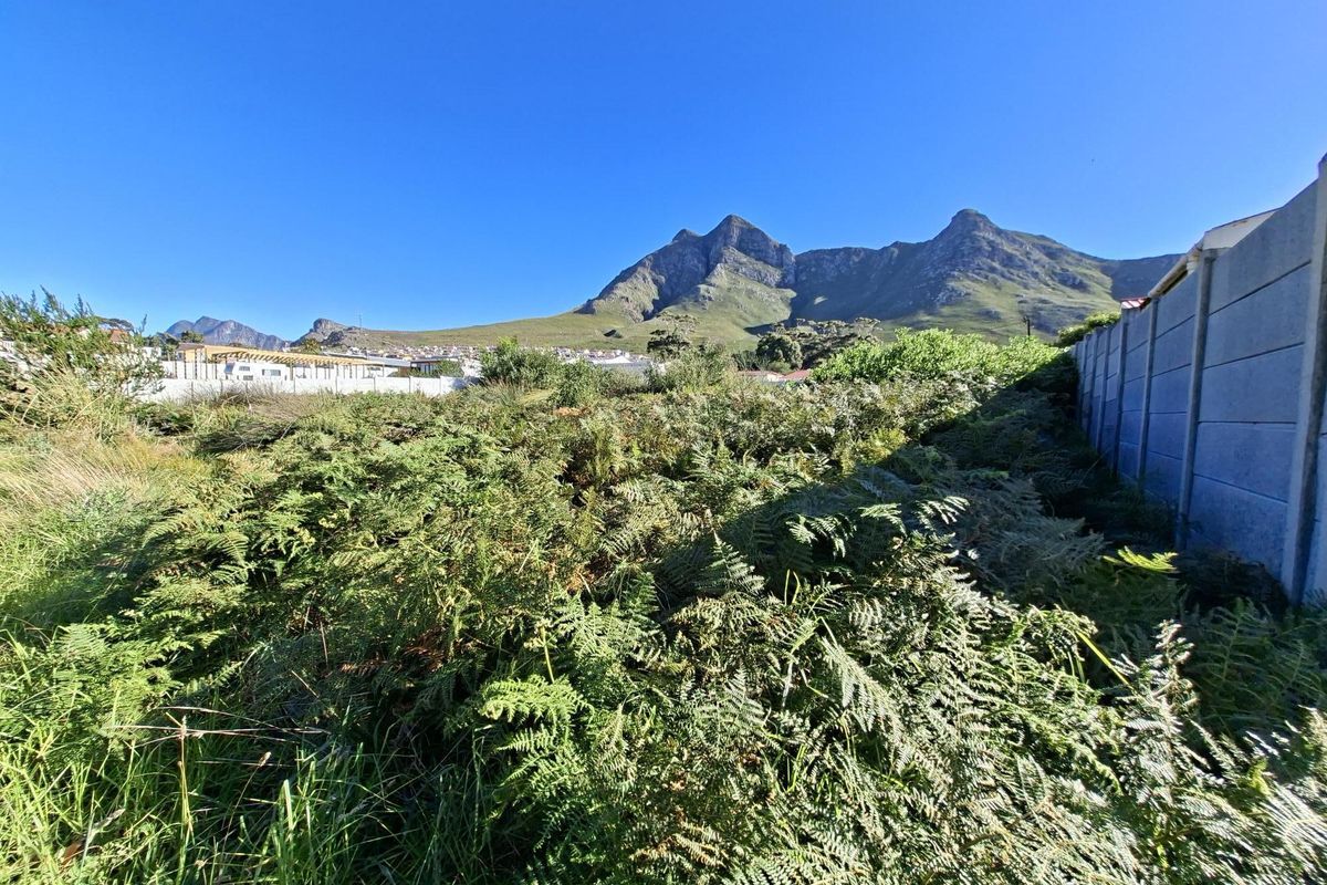 Vacant Plot For Sale with Mountain Views in Kleinmond Central - Photo 4