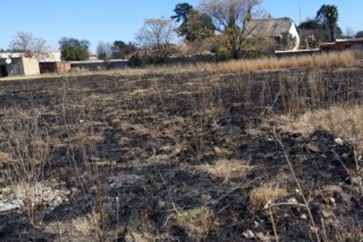 A vacant residential plot of land showing signs of recent fire damage to the ground cover and vegetation.