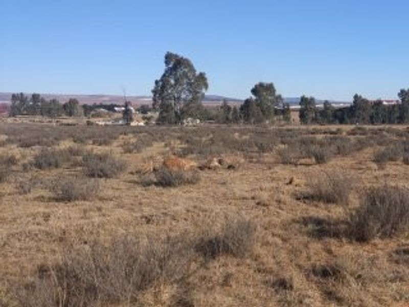 Prime Location residential vacant land - Photo 2