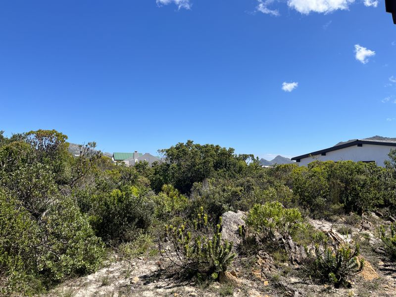 A scenic outdoor view featuring natural fynbos vegetation, rocky terrain, and distant mountain vistas under a clear blue sky.
