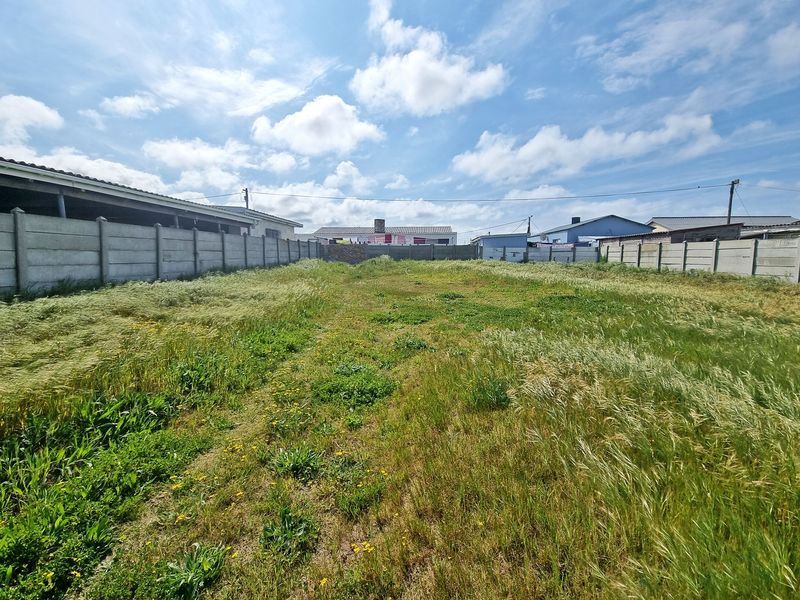 Build Your Future in Struisbaai North - Photo 4