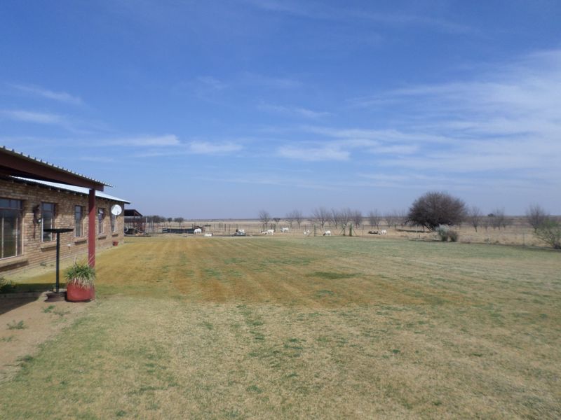 Charming 4-bed Small Holding For Sale in Ventersdorp, offering rural tranquility and ample space. - Photo 4