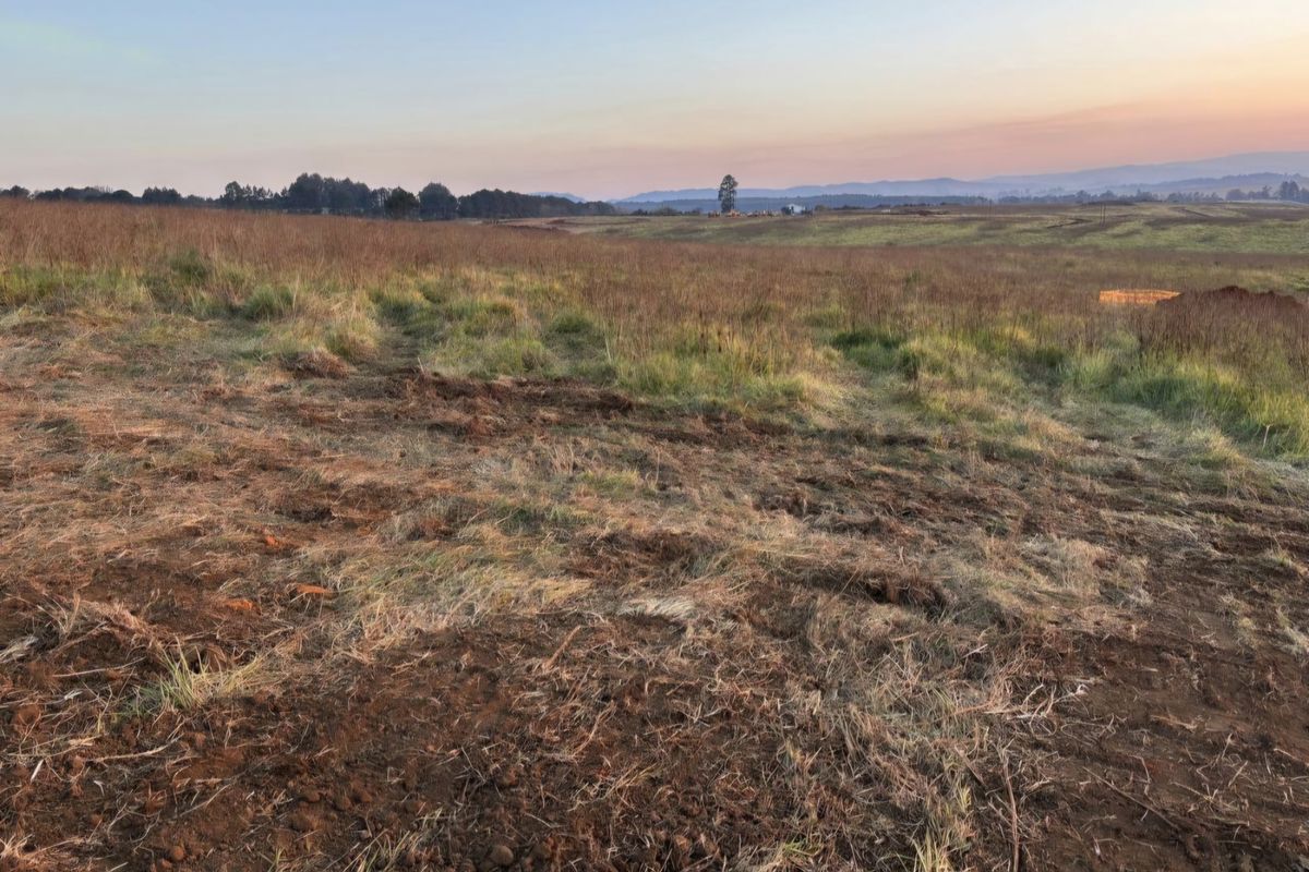 Prime Site at The Dairy - Photo 2