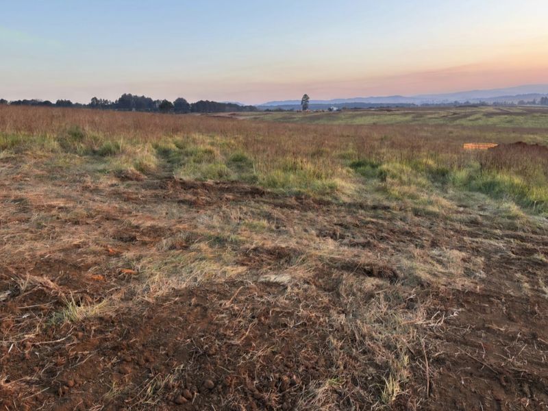 Prime Site at The Dairy - Photo 2