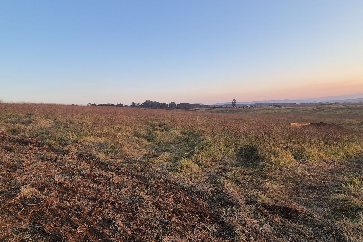 Prime Site at The Dairy - Photo 5