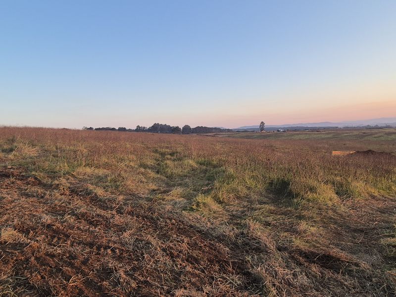Prime Site at The Dairy - Photo 5