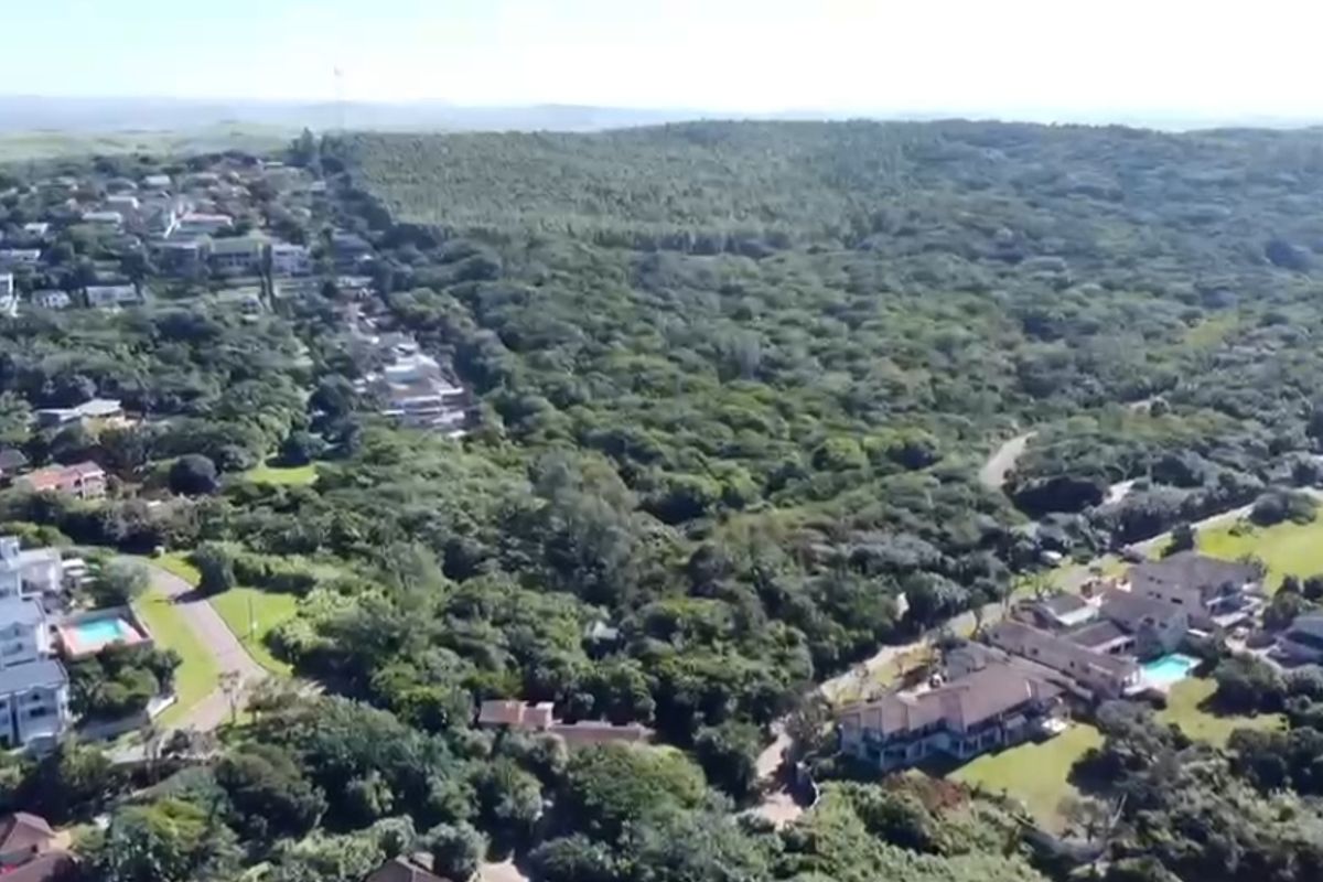 An aerial view of a residential estate surrounded by dense coastal forest and greenery.