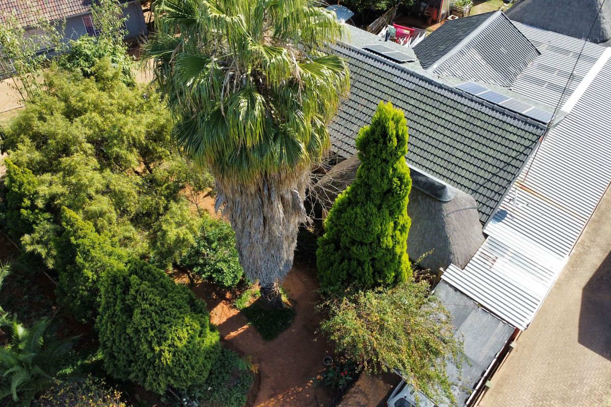 Spacious 4-Bedroom Family Home with Granny Flat & Excellent Entertainment Area - Photo 2